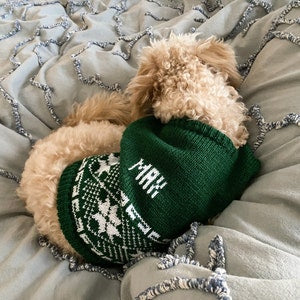 Personalized Dog Knit with Holiday Trim in your choice of color, Ugly Dog Sweater - The Lovely Gift Co