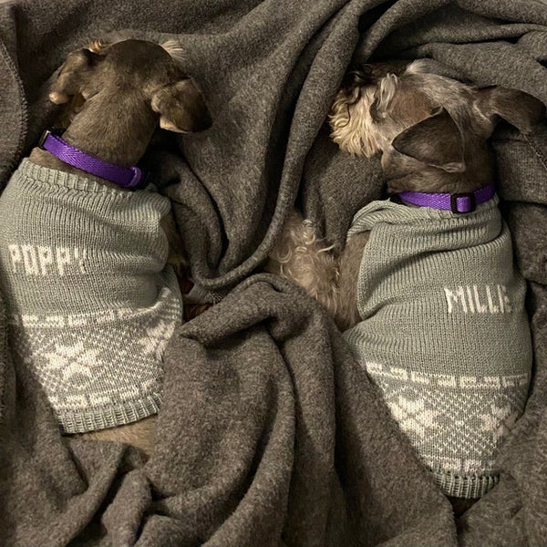 Personalized Dog Knit with Holiday Trim in your choice of color, Ugly Dog Sweater - The Lovely Gift Co