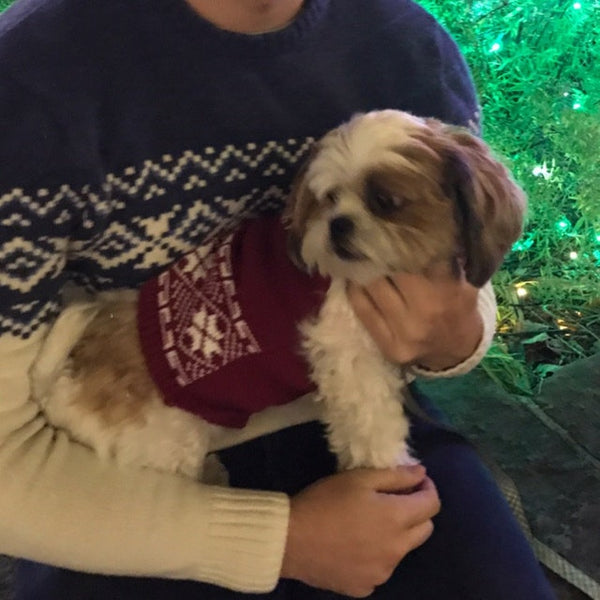Personalized Dog Knit with Holiday Trim in your choice of color, Ugly Dog Sweater - The Lovely Gift Co