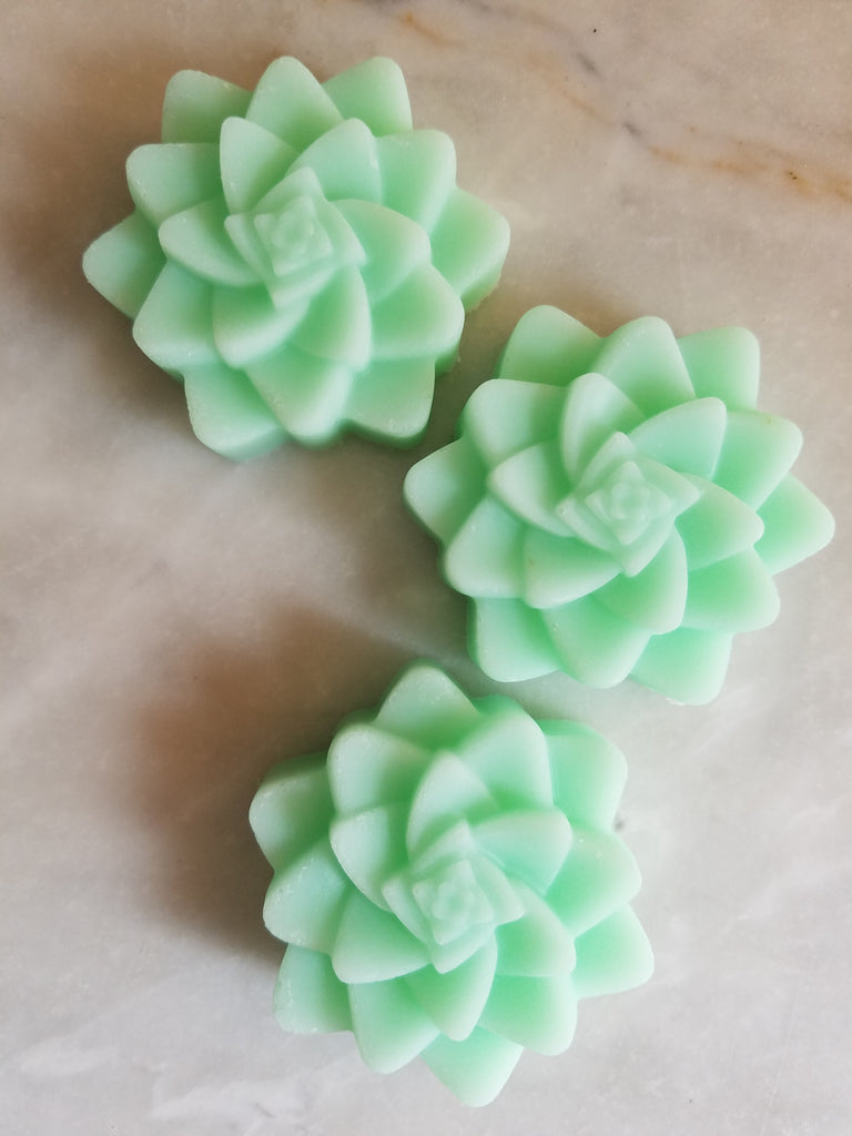 succulent shaped soap Bulk Pack DIY Succulent Cactus Bridal Soap Favors Set of 12