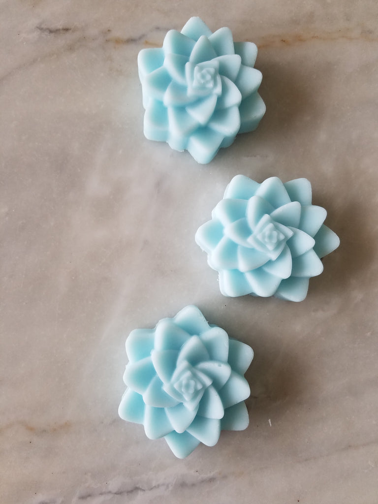 succulent bridal favors Bulk Pack DIY Succulent Cactus Bridal Soap Favors Set of 12