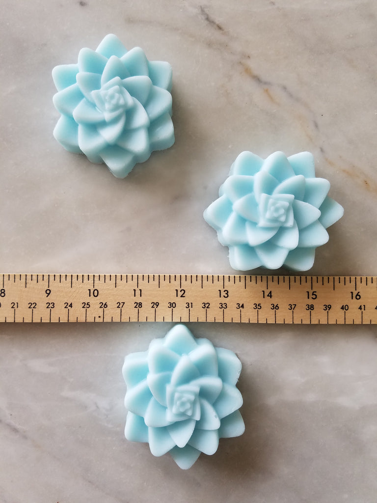 succulent soap favors Succulent Soap Baby Shower Favors Set of 12