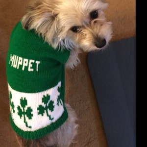 Personalized St. Patrick's Shamrock Irish Dog Sweater - The Lovely Gift Co
